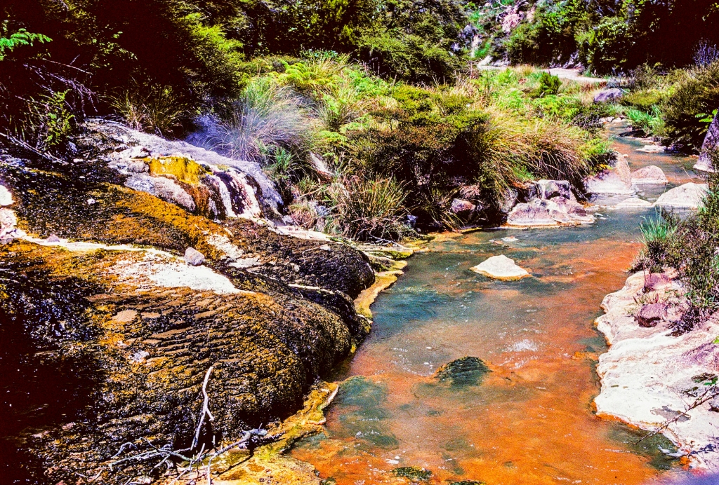 Hot Orange Stream, Waimangu, NZ