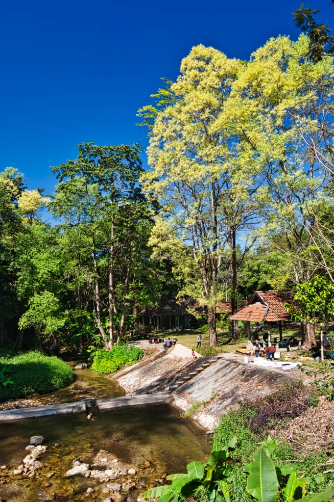 Huai Sai Lueang Trail, Doi Inthanon NP, Chiang Mai Prov., Thailand
