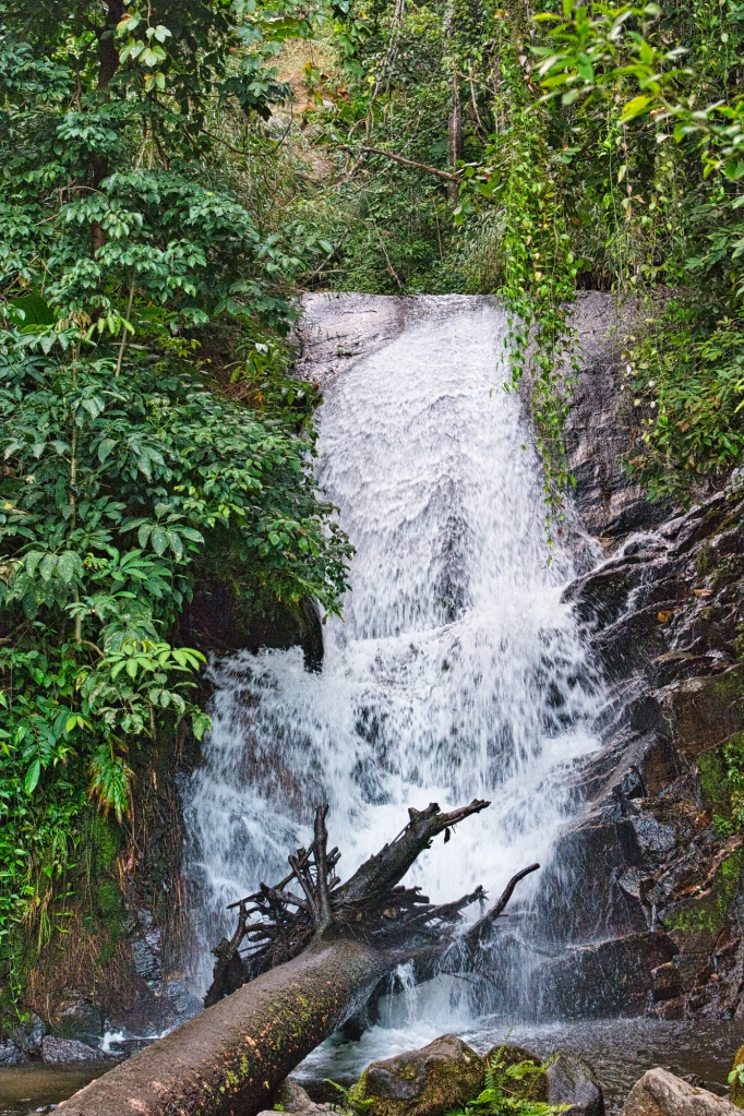 Siriphum Falls, Doi Inthanon NP, Chiang Mai Prov., Thailand