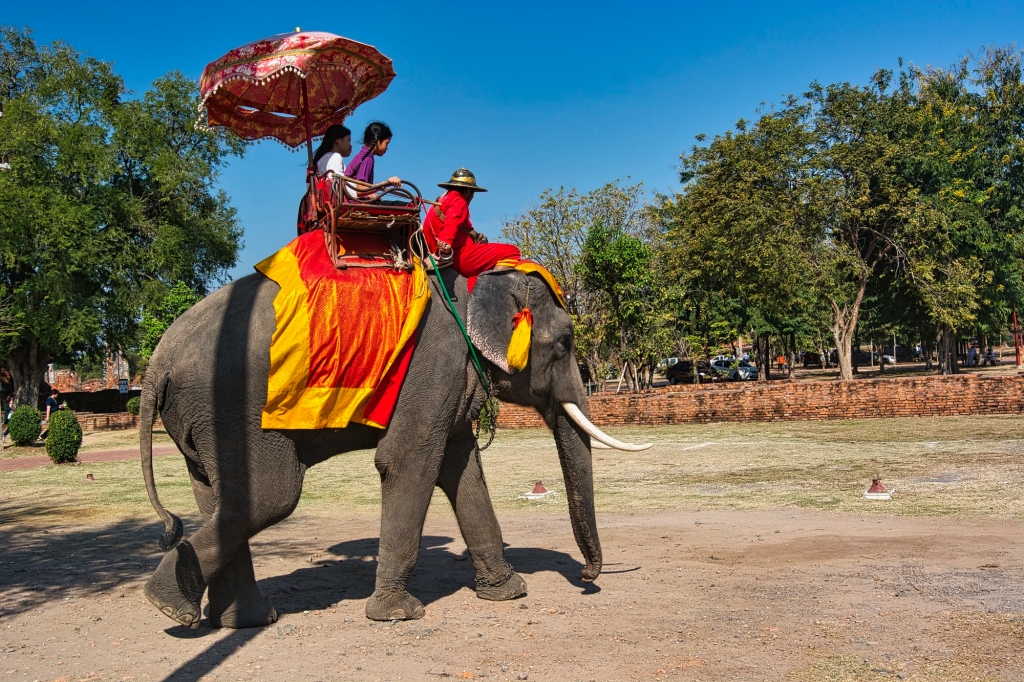 Elephant Riding, Wat Na Phra Meru Rachikaram, Ayutthaya, Thailand